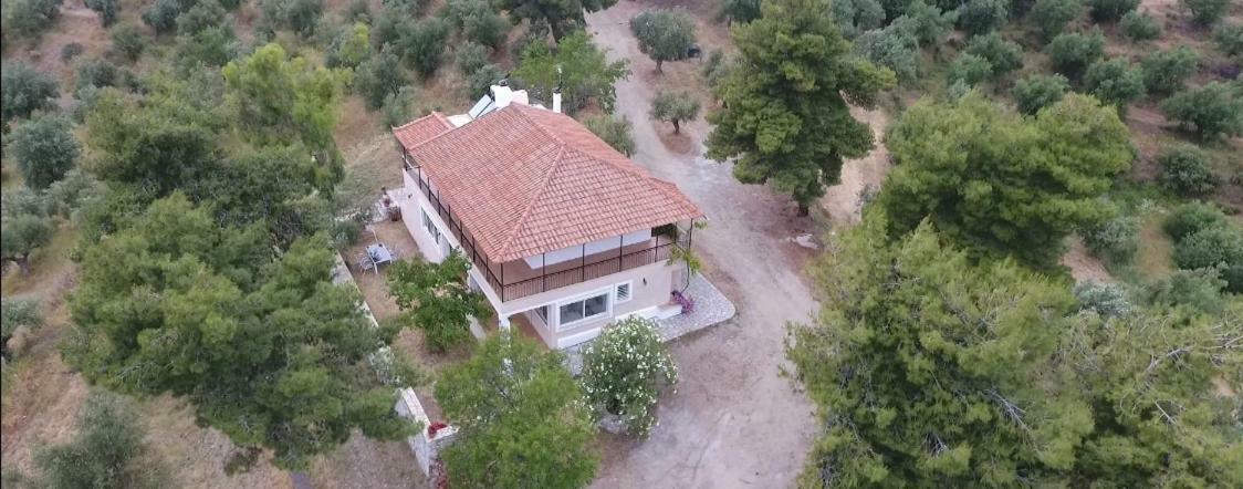 Olea Escape Villa In An Olive Estate Gythio Exteriér fotografie