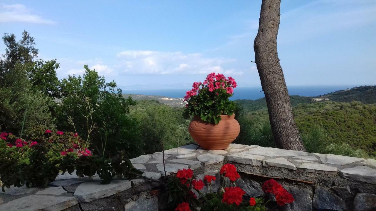 Olea Escape Villa In An Olive Estate Gythio Exteriér fotografie